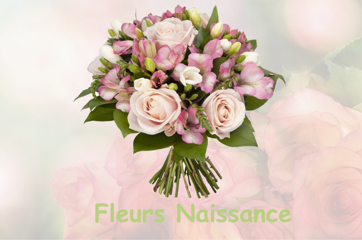 fleurs naissance SAINT-CHAMAS